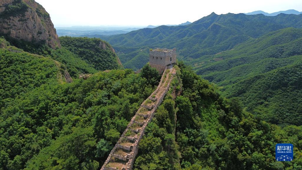 大富豪游戏